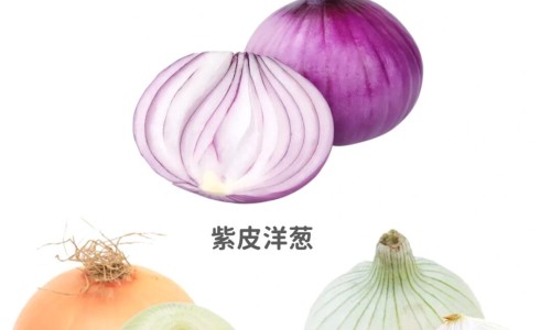 韩国红参粉的功效与作用网-分享韩国红参元口服液的功效，韩国红参的功效知识库