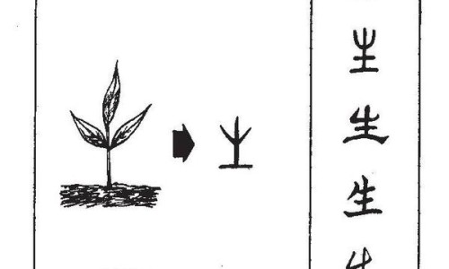 韩国红参口服液的功效与作用及禁忌-韩国红参粉的功效与作用网-分享韩国红参元口服液的功效，韩国红参的功效知识库